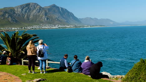 Tourists-whale-watching-from-scenic-lookout-point-in