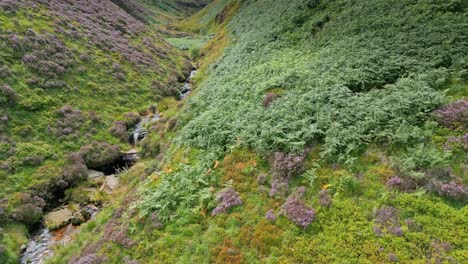 Slow-moving-waterfall-stream-flowing-down-a-moorland
