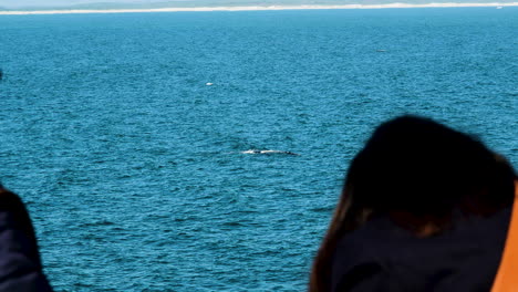 Two-ladies-whale-watching-in-Hermanus-shot-of