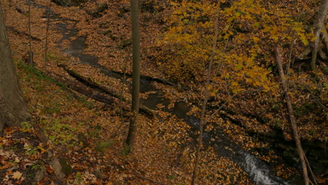 Kleiner-Bach-Plätschert-Durch-Den-Herbstlichen-Wald-Bedeckt