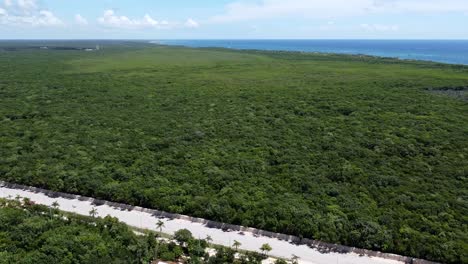 Green-forest-jungle-in-Tulum-Mexico-with-an-empty-road-to-beach-coastline-on-sunny-summer-day,-aerial
