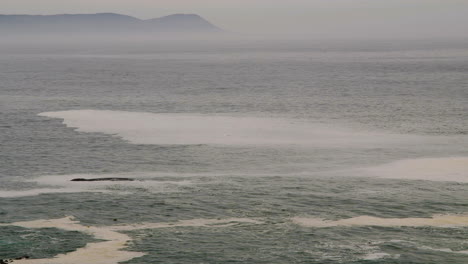 Southern-Right-whale-logging-in-Walker-Bay,-Hermanus---view-from-cliffs-on-coastline