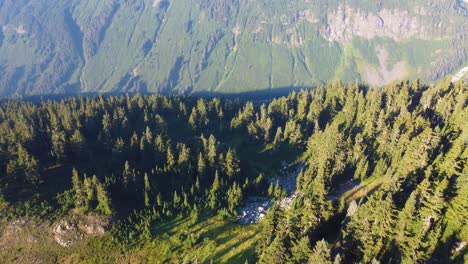 Aerial-Drone-Over-Deep-Valley-Covered-in-Pine-Trees-in-Pacific-Ranges-in-Canada-BC-4K