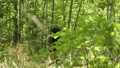 Tactical-guy-walks-through-the-woods-with-airsoft
