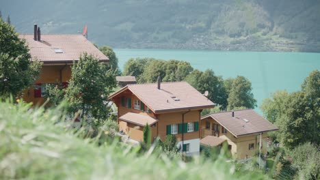 Iseltwald-Schweiz-Nahaufnahme-Gras-Landschaftlich-Reizvoller-Bergsee