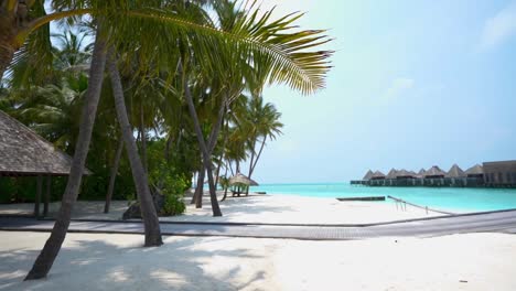Malediven-Resort-Strand-Mit-Promenade-Palmen-Blau