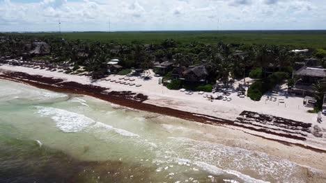 Luxury-hotels-in-Tulum-Mexico-with-sargassum-covered-beach-coastline-on-sunny-day,-aerial