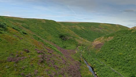 Aerial-Drone-footage-of-a-moorland-river-flowing-down-a-green-valley-near-the-Pennine-Way-in-Marsden-West-Yorkshire