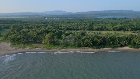 Dichter-Tropischer-Wald-Am-Strand-Von-Playa-Dorada-In-Puerto-Plata,-Dominikanische-Republik