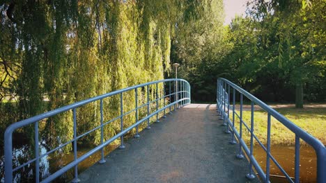 Crossing-small-bridge-in-Vondelpark-Amsterdam-weeping-willow-hangs-summer-time