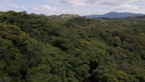Ascending-Aerial-Shot-Over-Dense-Trees-Revealing-A-Beautiful-Coastline-In-The-Guanacaste-Province,-Costa-Rica