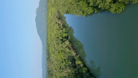 Vertikaler-Schuss-Rio-Munoz-Mit-Tropischer-Waldspiegelreflexion-In-Puerto-Plata,-Dominikanische-Republik