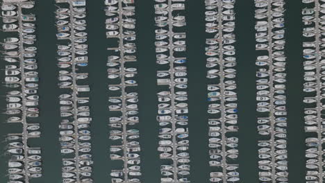Static-aerial-top-down-footage-of-a-large-harbor-and-docks-full-of-speedboats-and-leisure-craft