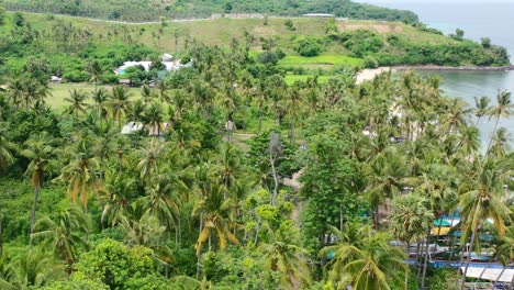 Tropische-Luftlandschaft-Der-Mentigi-Bay-Küste-In-Lombok-Mit-Kokospalmen