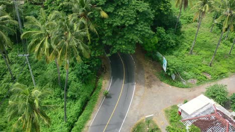 Local-person-walking-on-tropical-jungle-road-in-Lombok-surrounded-by-coconut-trees,-aerial-top-down