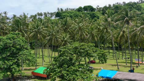 Tourists-relaxing-in-a-tropical-field-of-coconut-trees-at-Senggigi-Lombok,-aerial