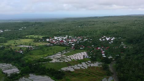 Aerial-of-jungle-village-with-flooded-rice-fields-on-cloudy-day-in-Lombok-Island