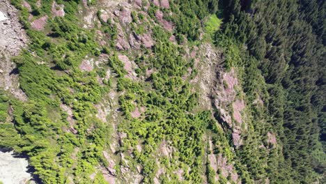 Aerial-Top-Down-Fly-Forward-of-Alpine-Rock-and-Forest---Mackenzie-Range,-Vancouver-Island,-BC,-Canada