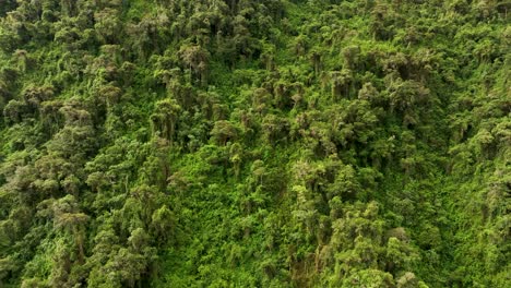 Luftdrohnenflugansicht-über-Die-Berge-Und-Den-Regenwald-Rund-Um-Die-Zitadelle-Von-Machu-Picchu