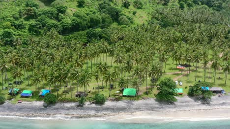 Tropical-field-of-coconut-trees-at-Kerandangan-Beach-in-Senggigi-Lombok,-aerial