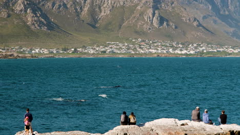 Tourists-with-spectacular-front-row-views-on-rocks---whale-watching-in-Hermanus