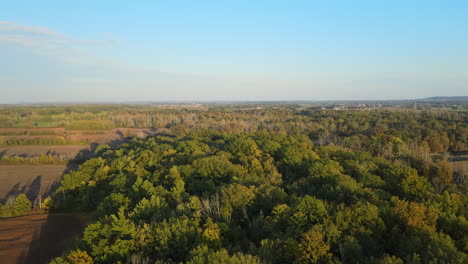 Luftpanoramablick-Auf-Die-Schöne-Landschaft-Des-Waldnaturparks-In-Der-Herbstsaison-Am-Sonnigen-Morgen,-Farbenfrohe,-Weite-Grüne-Landvegetation-Und-Bäume,-Blaue-Skyline-Am-Horizont