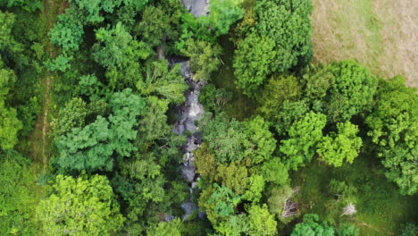 Pyrenäen-gebirgslandschaft-Von-Oben-Nach-Unten-Luftaufnahme-Des-Grünen,-Unverschmutzten-Natürlichen-Baumwaldes