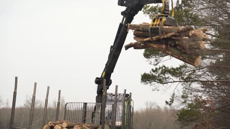 Mechanical-arm-of-grapple-loader-unloading-logs-on-pile-by-forest-road