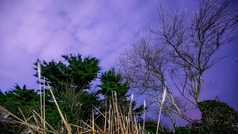 Zeitraffer-Des-Nachthimmels-Mit-Sternen-Und-Wolken-In-Ländlicher-Natur