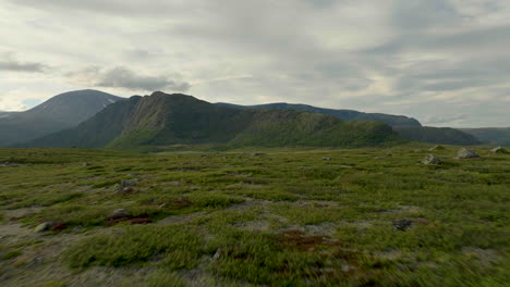 Low-aerial-over-scenic-green-meadow-in-Scandinavian-wilderness