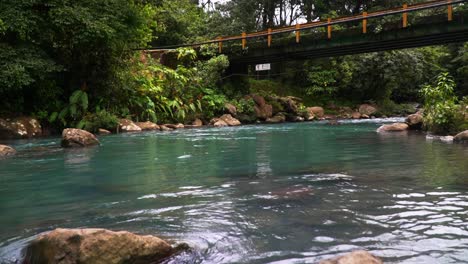 El-Agua-Turquesa-Del-Río-Celeste-Fluye-Lentamente-A-Través-De-La-Verde-Selva-Tropical