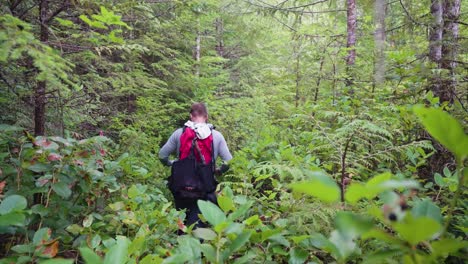 Hiker-Walking-Away-From-Camera-in-Dense-Forest---Mackenzie-Range,-Vancouver-Island,-BC,-Canada