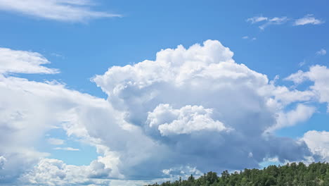Zeitraffer-Von-Dichten-Wolken,-Die-Sich-In-Einem-Strahlend-Blauen-Himmel-über-Einem-Wald-Auf-Unterschiedliche-Weise-Bewegen