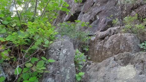 Hiker-Climbing-Rock-Slabs-in-Sub-Alpine---Mackenzie-Range,-Vancouver-Island,-BC,-Canada