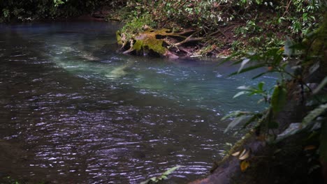 Timelapse-of-a-flowing-crystal-clear-stream-that-turns-turquoise-blue-int-he-sunlight