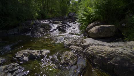 Slow-moving-woodland-stream-with-ferns-on-the-riverbank-and-water-flowing-over-the-rocks