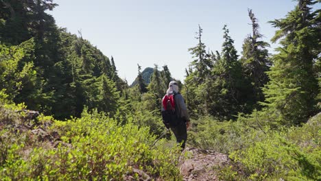 Hiker-Walking-Away-from-Camera-in-Alpine-Forest---Mackenzie-Range,-Vancouver-Island,-BC,-Canada