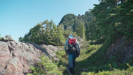 Hiker-Walking-Through-Alpine-Forest-Meadow---Mackenzie-Range,-Vancouver-Island,-BC,-Canada