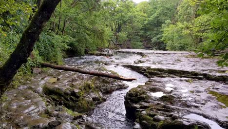 Río-Que-Conduce-Directamente-A-La-Cascada-Sgwd-Clun-gwyn-En-Brecon-Beacons-Gales-Reino-Unido-4k