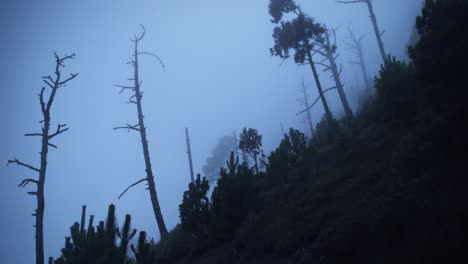 Eerie-walking-inside-a-cloud-on-a-volcano-4