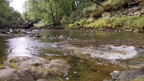 River-Leading-to-Sgwd-Clun-Gwyn-Waterfall-with-Fallen-Tree-in-Brecon-Beacons-Wales-UK-4K