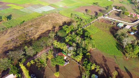 Paisaje-Agrícola-Cultivado-De-Mosaico-Rectangular-Como-Campos-De-Cultivo-En-El-Campo-Rural-Remoto-De-Timor-Leste,-Sudeste-De-Asia,-Vista-Aérea-De-Drones-Del-Terreno-Agrícola