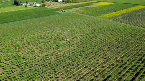 Aerial-view-orchard-or-vineyard-with-wind-machine-to-protect-plants