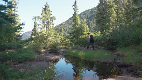 Hiker-Walking-Left-Around-an-Alpine-Tarn-Pond---Mackenzie-Range,-Vancouver-Island,-BC,-Canada