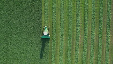 In-Door-County,-WI,-a-farmer-on-a-John-Deere-tractor,-cuts-his-alfalfa-field-in-late-August-5