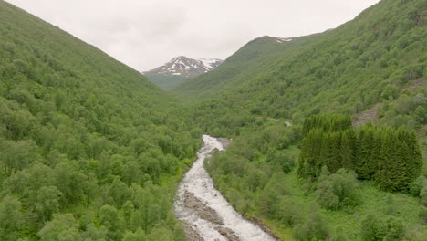 Río-Que-Fluye-A-Través-Del-Bosque-Verde-Cerca-Del-Paso-De-Montaña-A-La-Luz-Del-Día-En-Noruega