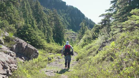 Hiker-Walking-Away-from-Camera-into-Alpine-Mountain-Meadow---Mackenzie-Range,-Vancouver-Island,-BC,-Canada