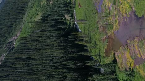 Aerial-flight-through-a-valley-in-the-mountains-of-Colorado-over-a-flowing-creek-in-vertical-format