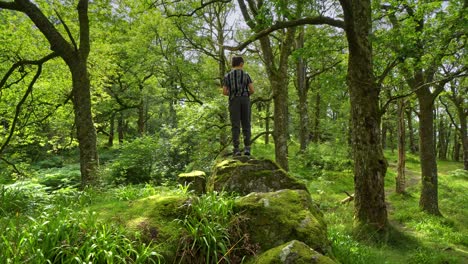 Young-boy-playing-standing-on-a-large-rocky-outcrop-near-a-woodland-path-surrounded-by-rocks-and-trees