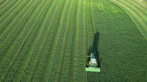In-Door-County,-WI,-a-farmer-on-a-John-Deere-tractor,-cuts-his-alfalfa-field-in-late-August-17